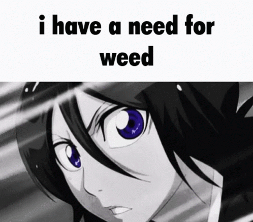 rukia-kuchiki-i-have-a-need-for-weed.gif